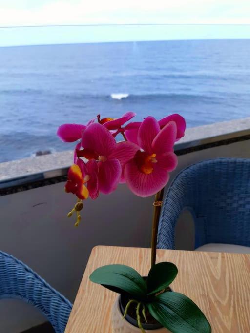 Ocean Orchidea Apartment Puerto de la Cruz  Exterior foto